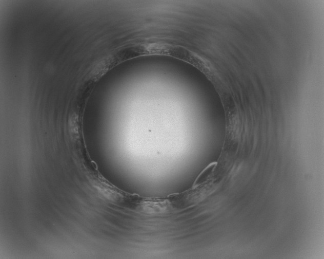 X0000073470571200608111539