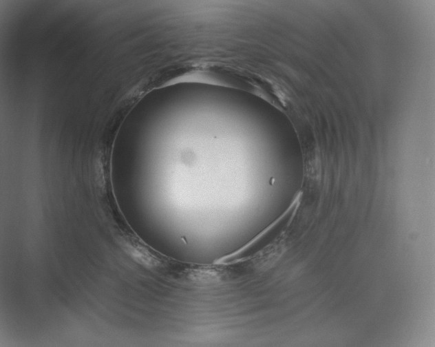 X0000073470572200608111539