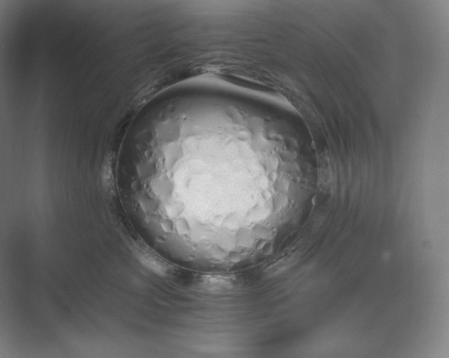 X0000073470573200608111539