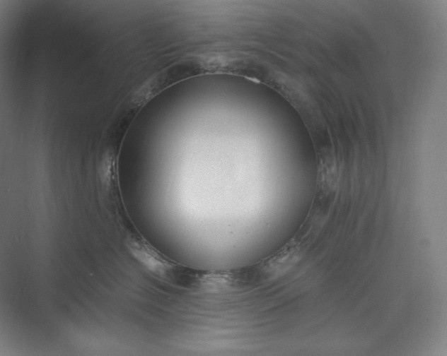 X0000073470574200608111539