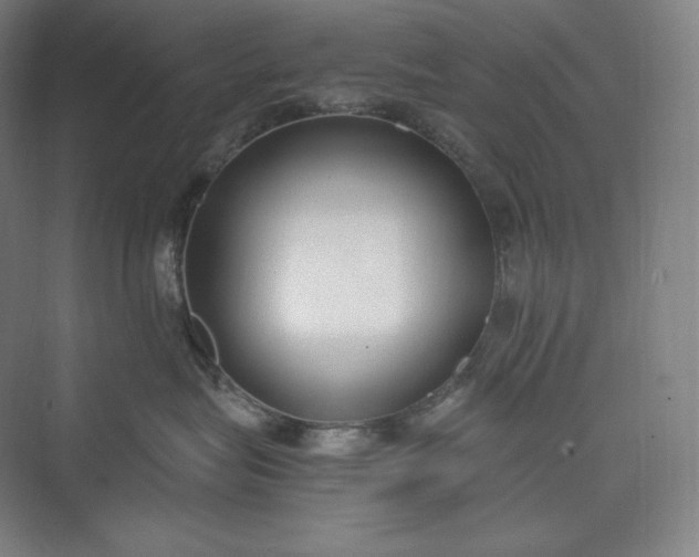 X0000073470575200608111539