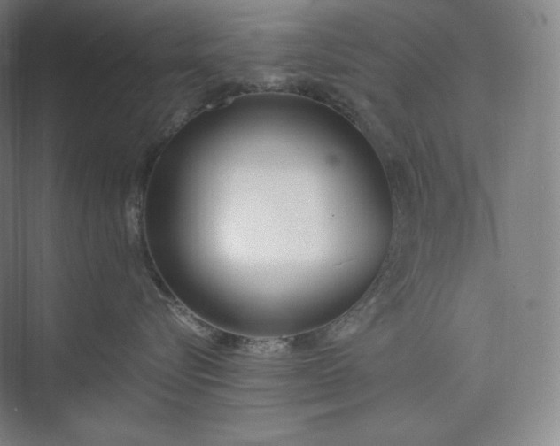 X0000073470576200608111539