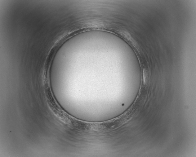 X0000073470579200608111538