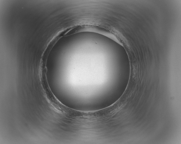 X0000073470580200608111538