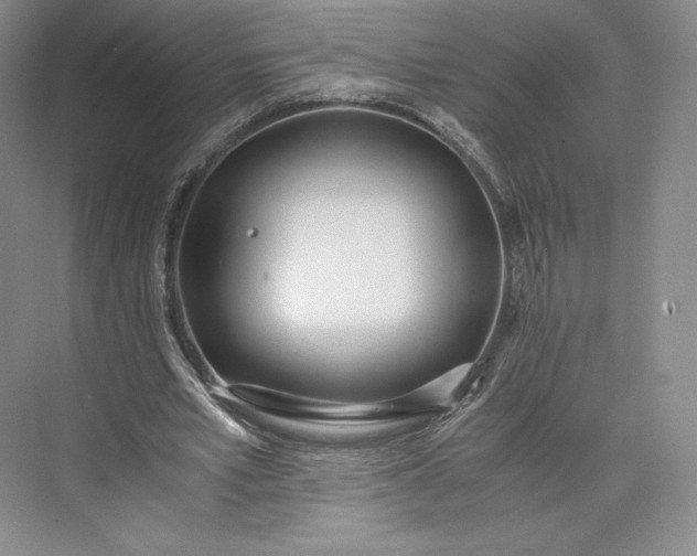 X0000073470581200608111538