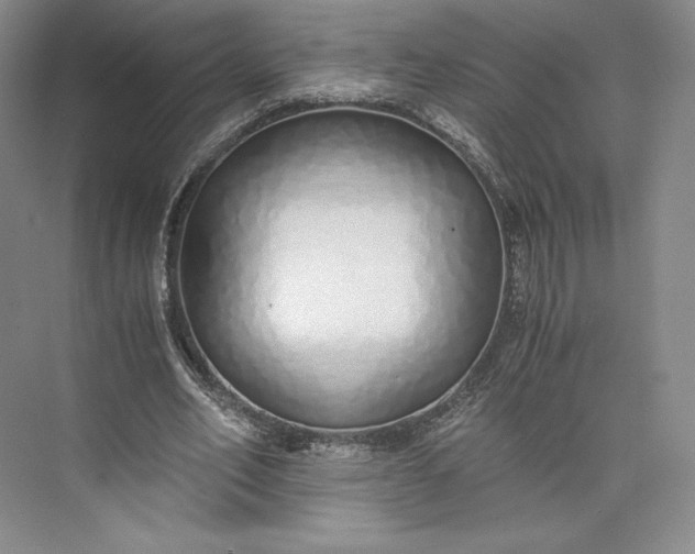 X0000073470582200608111538