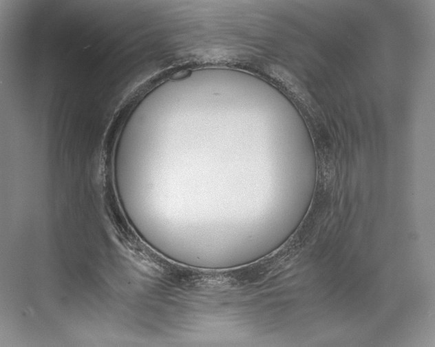 X0000073470583200608111538