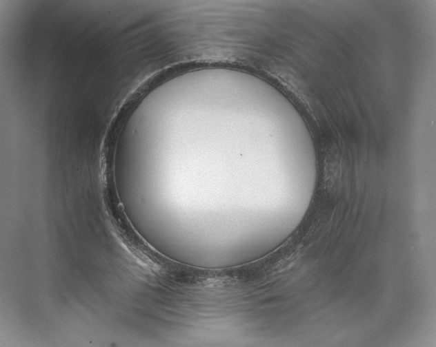 X0000073470584200608111538