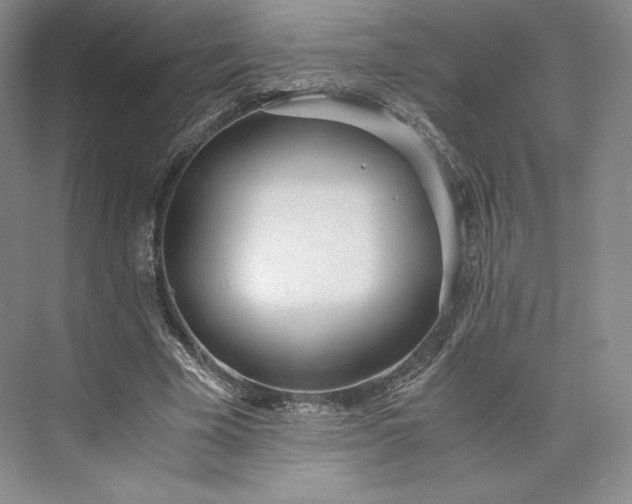 X0000073470585200608111538