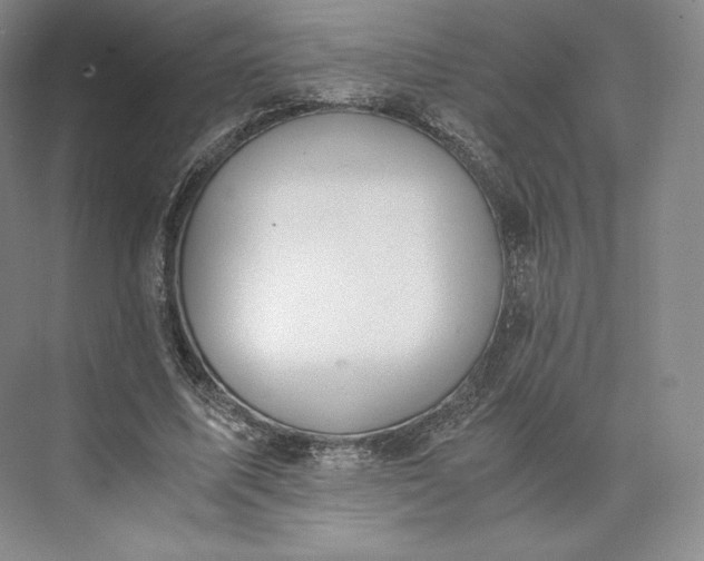 X0000073470587200608111538