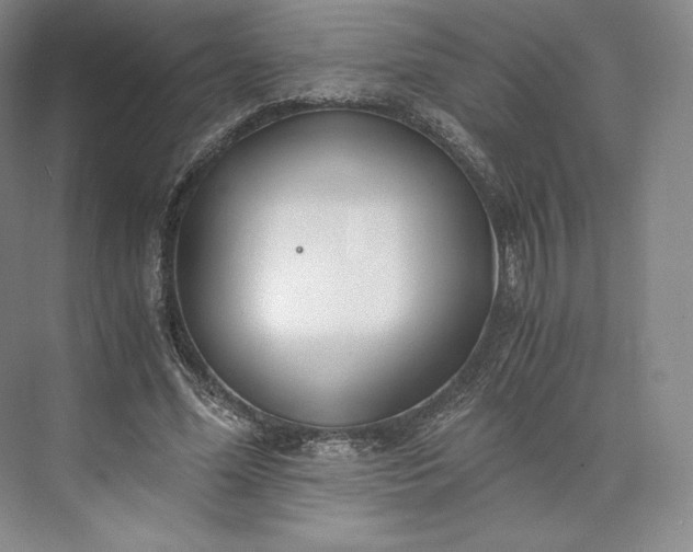 X0000073470588200608111538