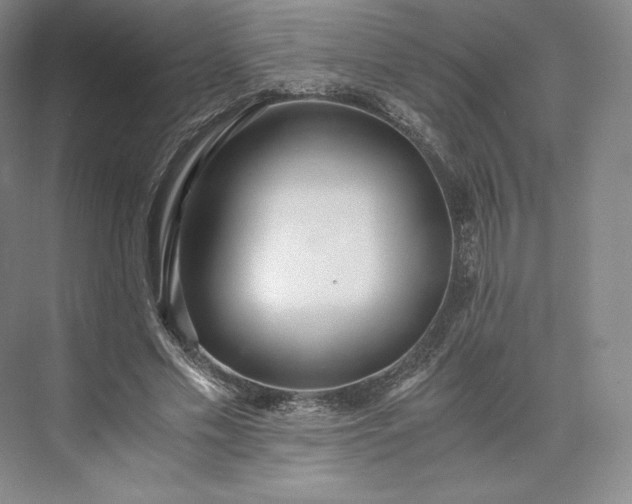 X0000073470589200608111538