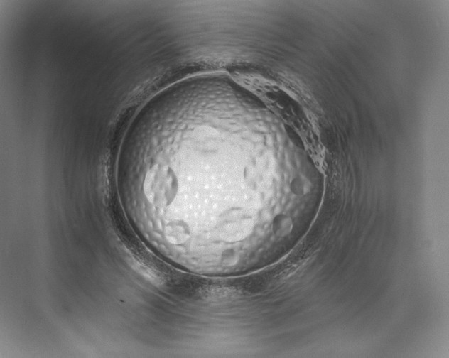 X0000073470590200608111538