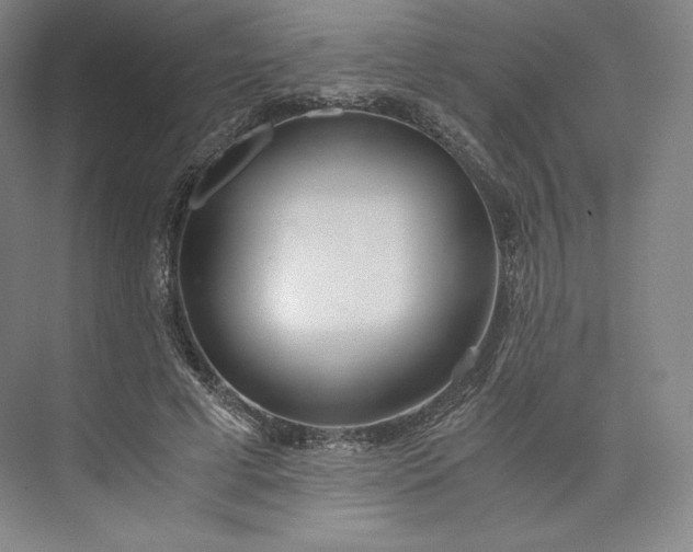 X0000073470593200608111538