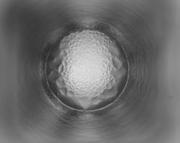 X0000073470594200608111538