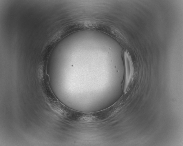 X0000073470595200608111538