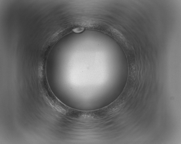 X0000073470596200608111538