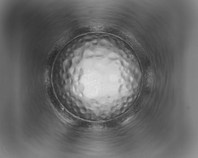 X0000073470598200608111538