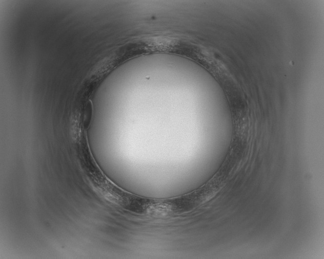 X0000073470599200608111538