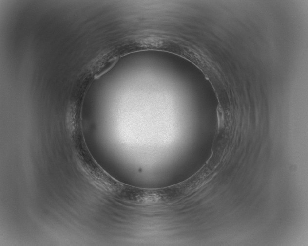 X0000073470600200608111538