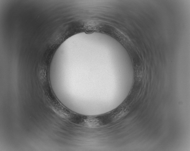 X0000073470603200608111538