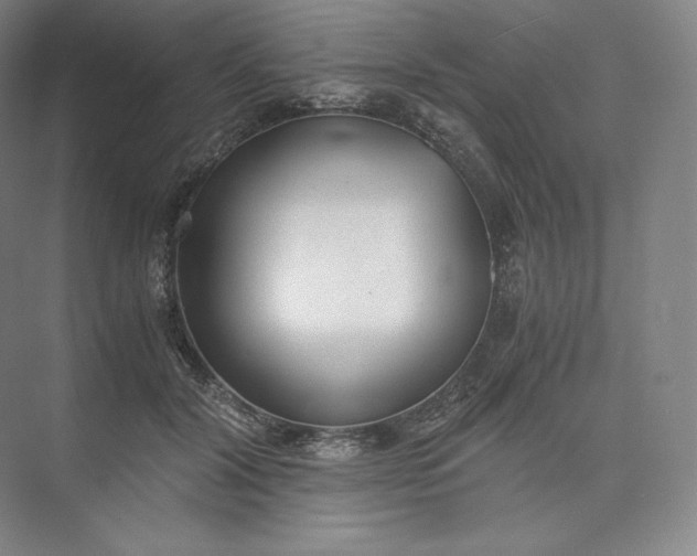 X0000073470604200608111538