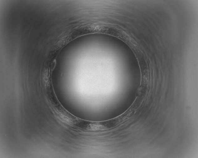 X0000073470605200608111538