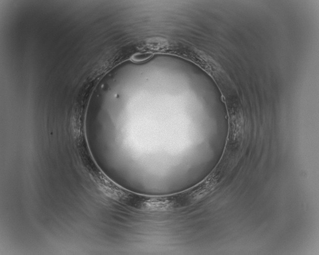 X0000073470606200608111538