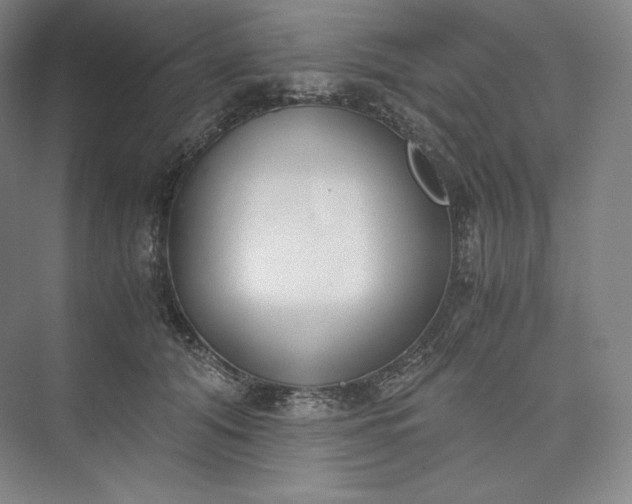 X0000073470608200608111538