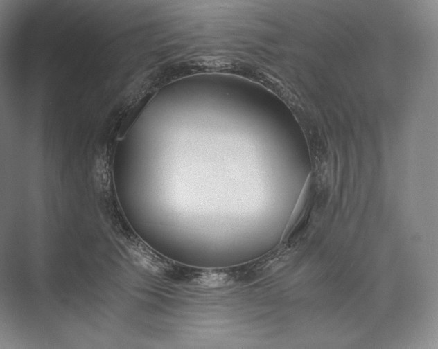 X0000073470609200608111538