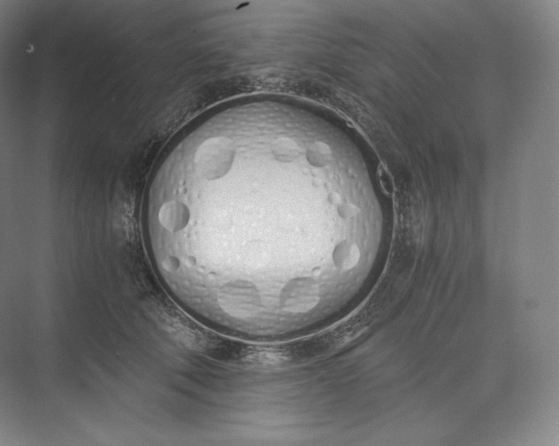 X0000073470610200608111538