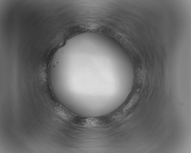 X0000073470612200608111538