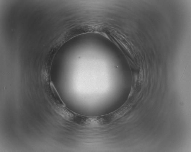 X0000073470613200608111538