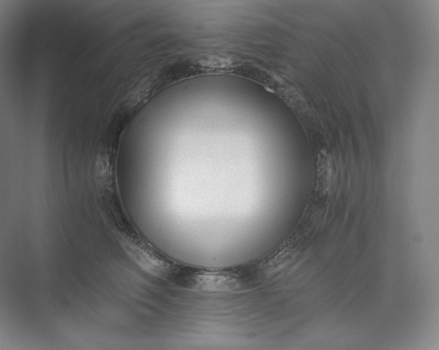 X0000073470614200608111538