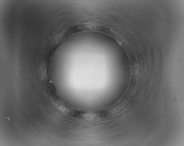 X0000073470615200608111538