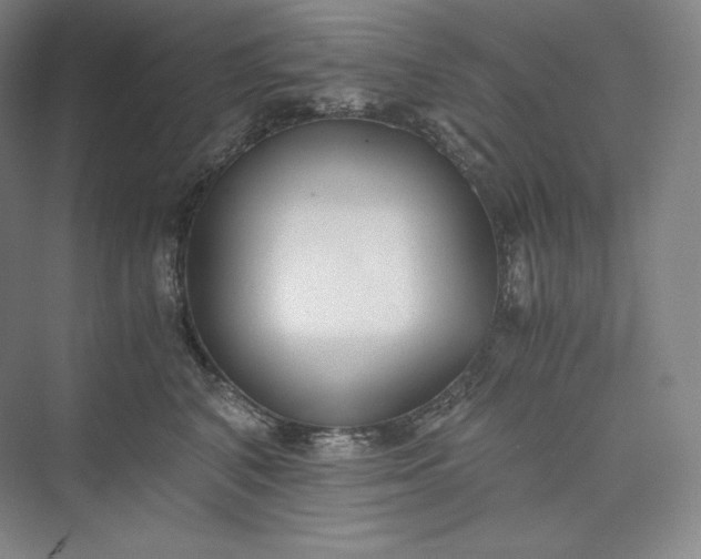 X0000073470616200608111538