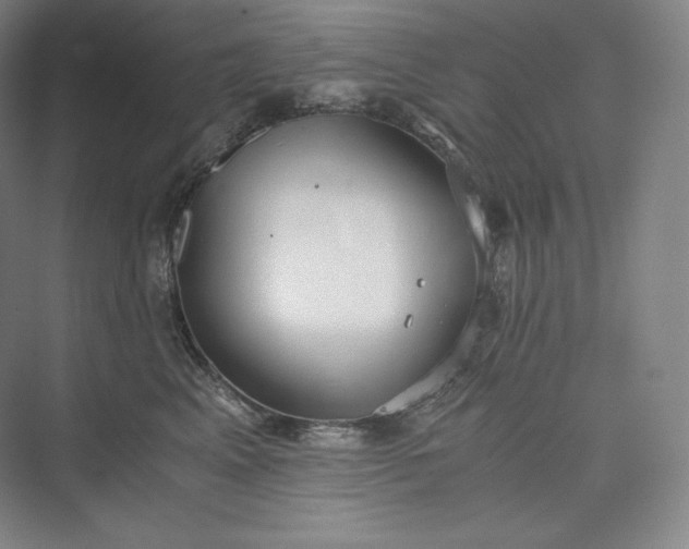 X0000073470617200608111538