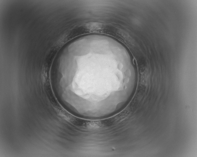 X0000073470618200608111538