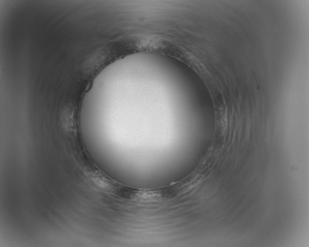 X0000073470619200608111538