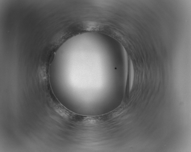 X0000073470620200608111537