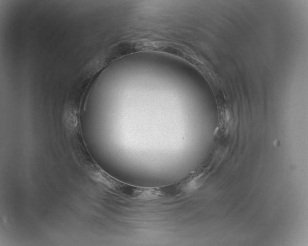 X0000073470621200608111537