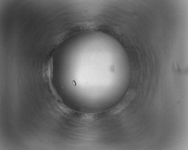 X0000073470624200608111537