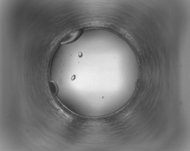 X0000073470625200608111537