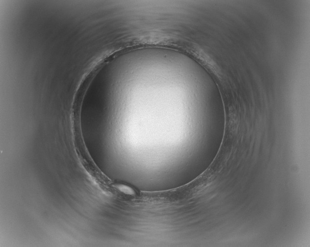 X0000073470626200608111537