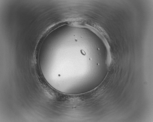 X0000073470628200608111537