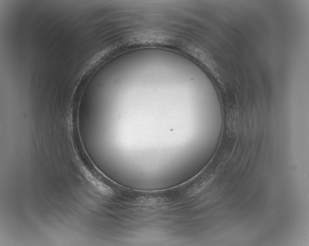 X0000073470629200608111537