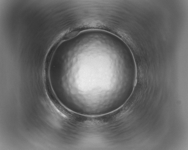 X0000073470630200608111537