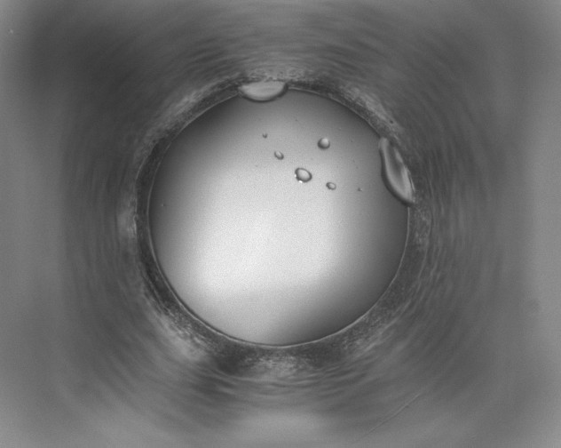 X0000073470631200608111537