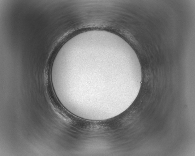 X0000073470632200608111537