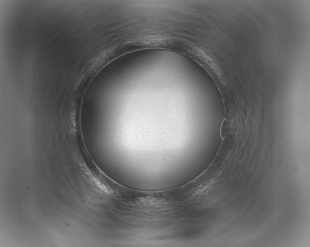 X0000073470633200608111537